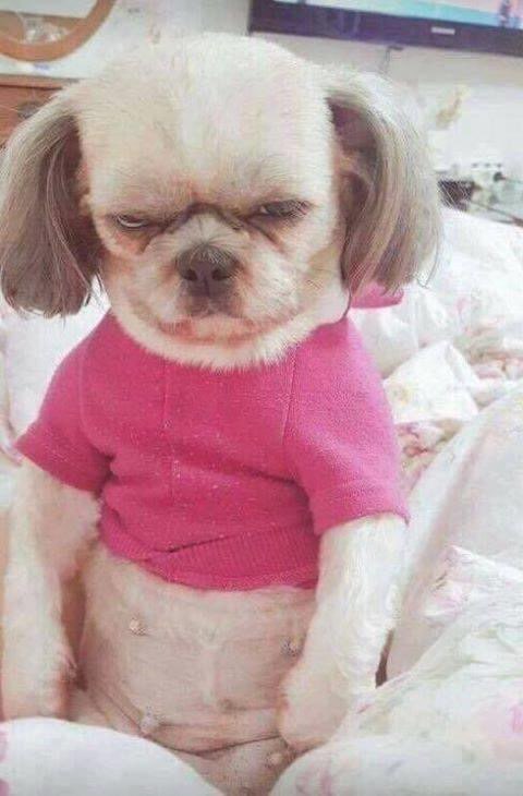 나의사진