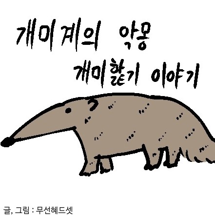 나의사진