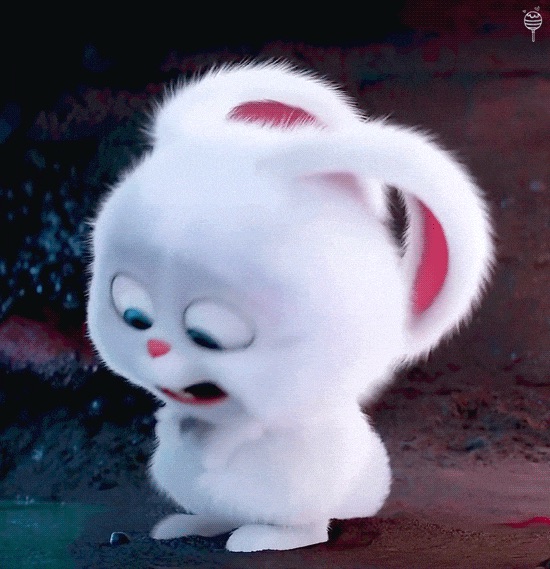 나의사진