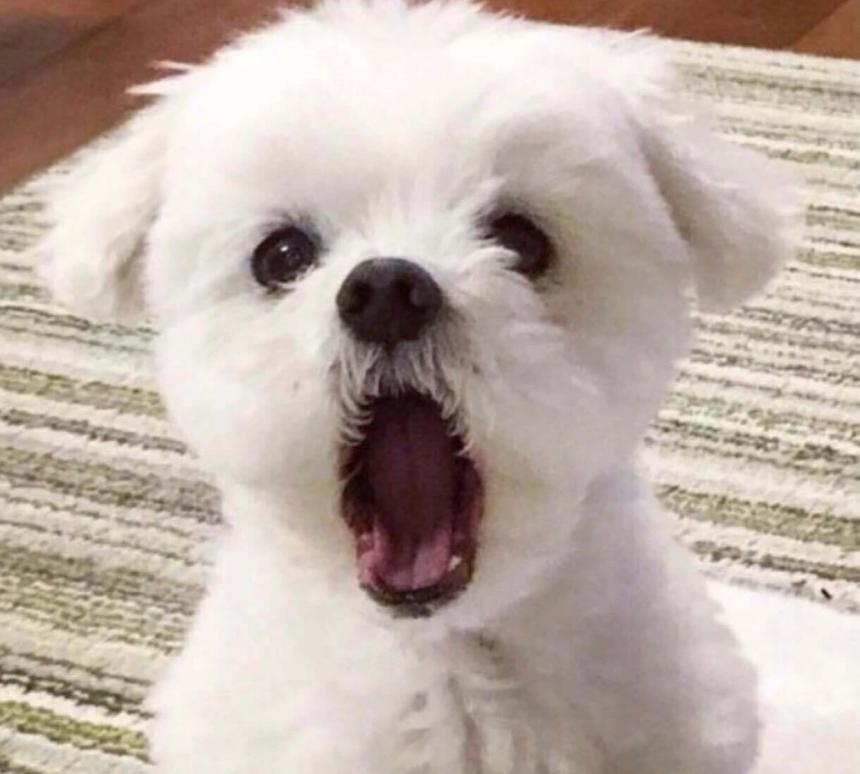 나의사진