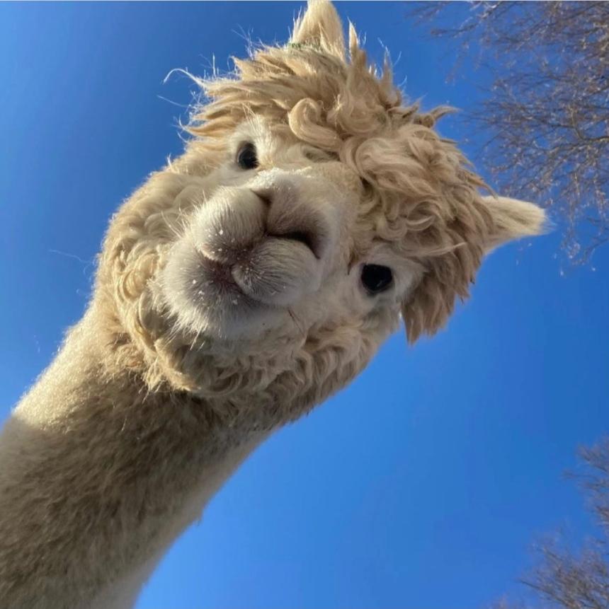 나의사진