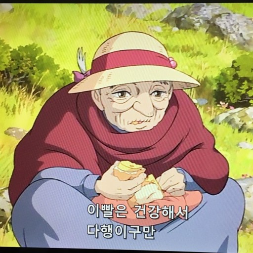 나의사진