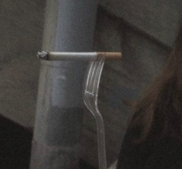 나의사진