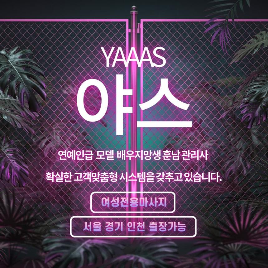 나의사진